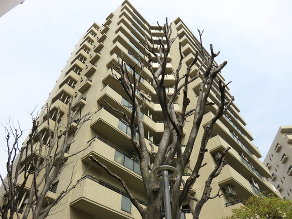 ロビーシティ相模大野5番街9号棟の外観