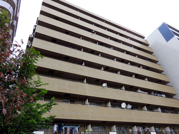 ダイアパレス根岸の外観