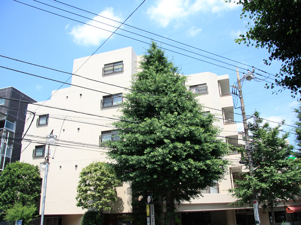 宮崎台ルピナスの外観