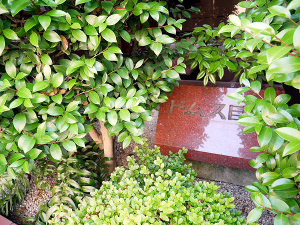 ドムス目白の外観