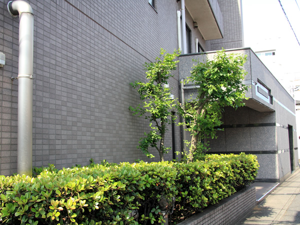 イトーピア梶ヶ谷の外観