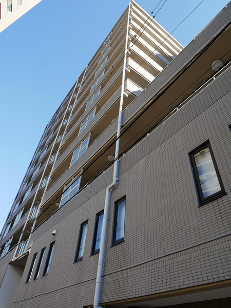 ヴィザージュ湘南平塚の外観