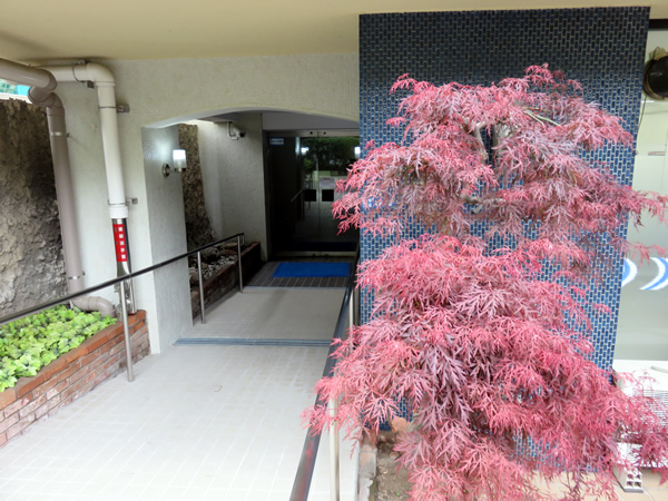 パラッツオ赤坂の外観