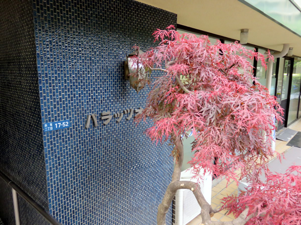 パラッツオ赤坂の外観