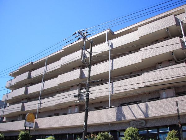 ワコーレ溝の口2の外観