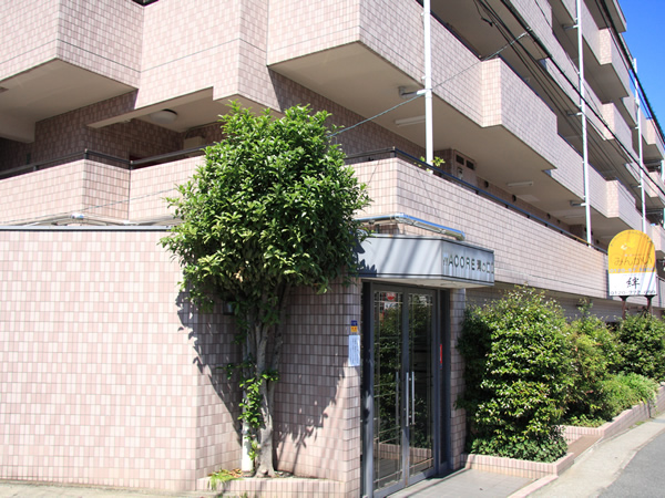 ワコーレ溝の口2の外観