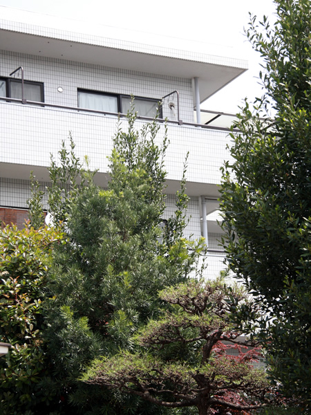 ニューウェルコート宮前平の外観