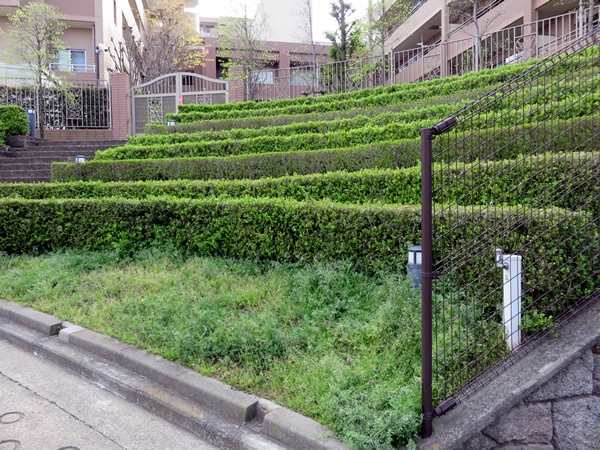 セントラルデュオ市が尾の外観