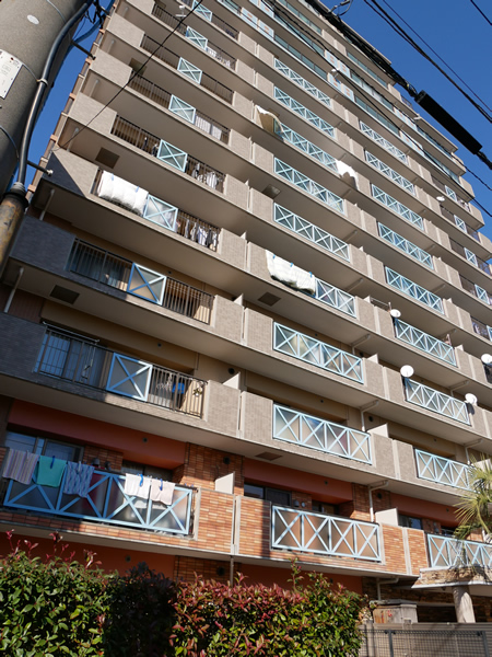 ダイアパレス湘南平塚の外観