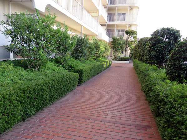 イトーピア宮前平マンションの外観