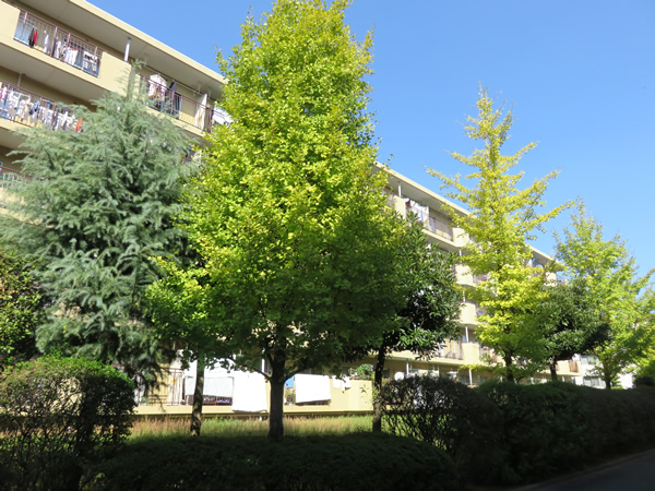 宮前平アベリア3号棟の外観