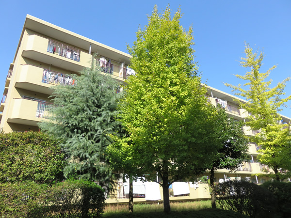 宮前平アベリア3号棟の外観