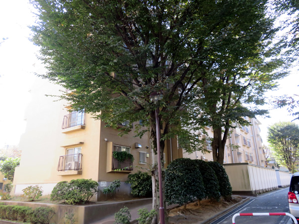 宮前平アベリア1号棟の外観