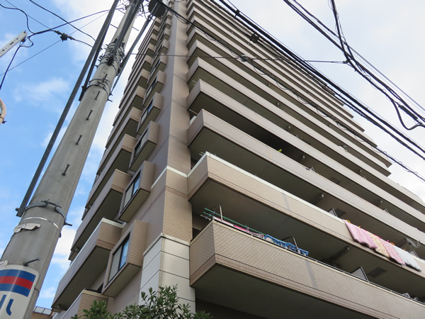 日神パレステージ相模が丘の外観