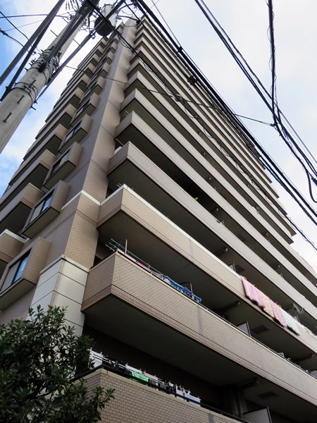 日神パレステージ相模が丘の外観