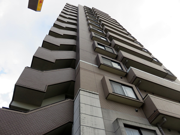 日神パレステージ相模が丘の外観