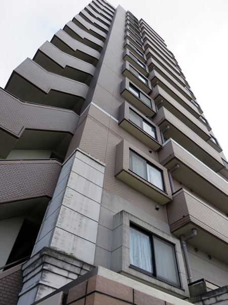 日神パレステージ相模が丘の外観