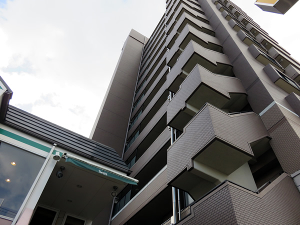 日神パレステージ相模が丘の外観