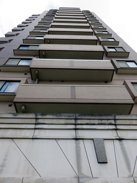 日神パレステージ相模が丘の外観