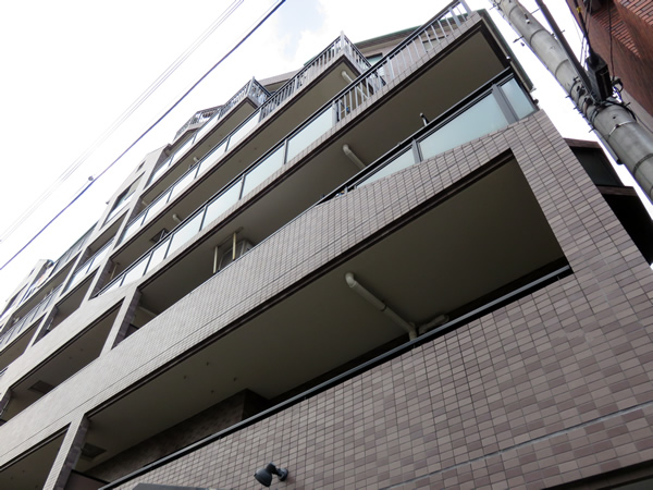 ドラゴンマンション小田急相模原2番館の外観