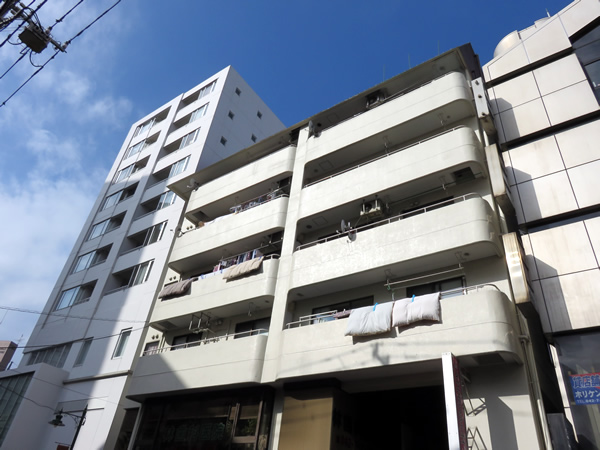 相模原ビューハイツの外観