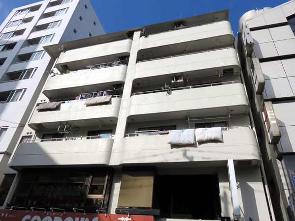 相模原ビューハイツの外観