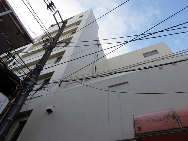 相模原ビューハイツの外観