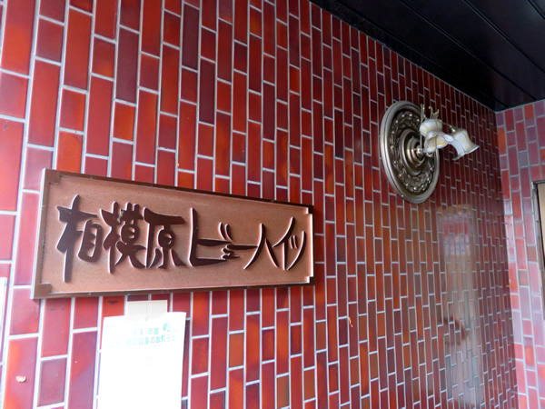 相模原ビューハイツの外観