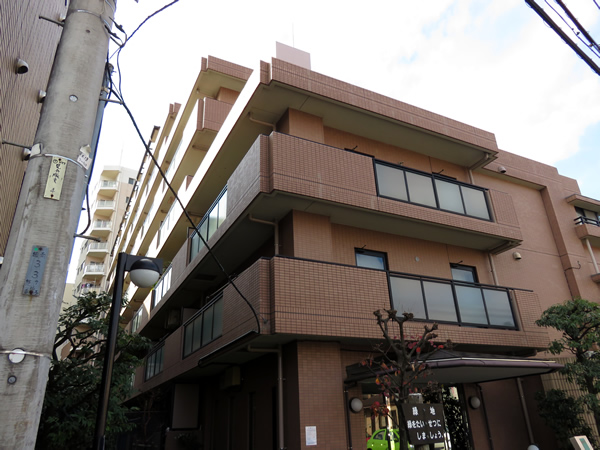 ナイスアーバン小田急相模原2の外観