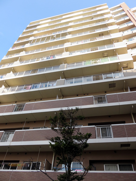 ミオカステーロ小田急相模原の外観