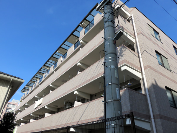 キャッスルマンション相模が丘の外観