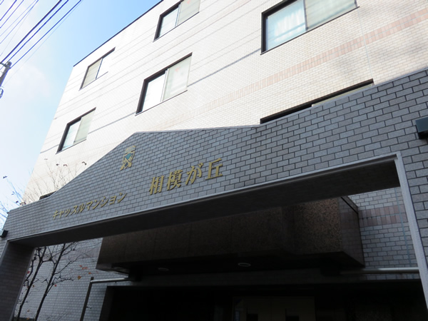 キャッスルマンション相模が丘の外観