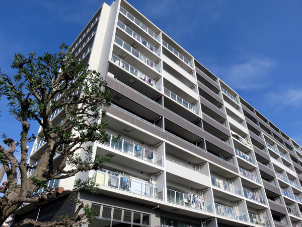 ライオンズ小田急相模原アクアルーナの外観