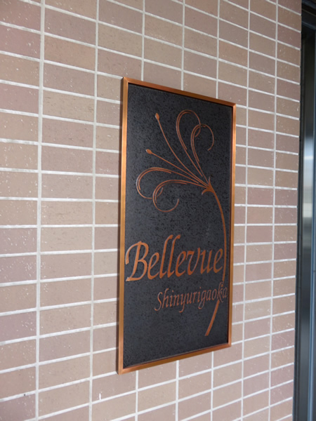 ヴェルビュ新百合ヶ丘の外観