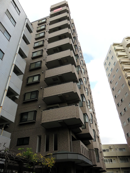 ライオンズステーションプラザ小田急相模原の外観