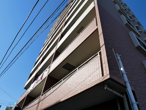 ルネサンス湘南平塚の外観