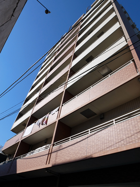 ルネサンス湘南平塚の外観