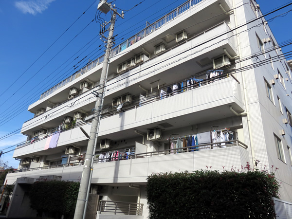 マイキャッスル武蔵中原2の外観