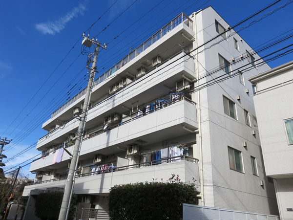 マイキャッスル武蔵中原2の外観