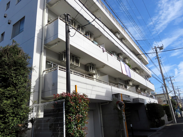 マイキャッスル武蔵中原2の外観