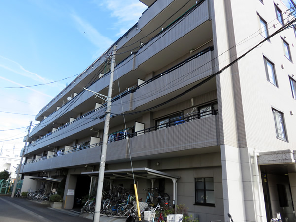 コスモ武蔵中原エクセルコートの外観