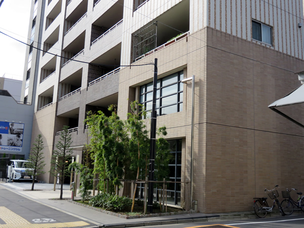 アデニウム入谷ステーションファーストの外観