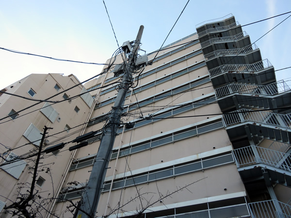 メゾン根岸の外観