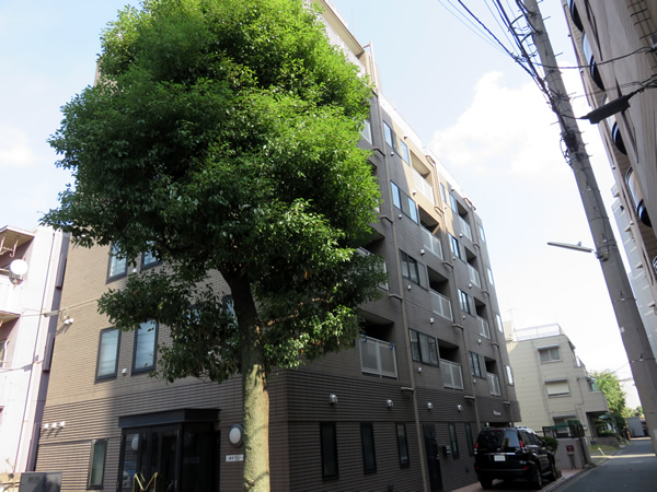 ヴィラ新丸子の外観