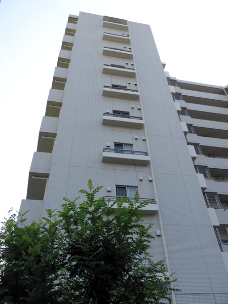 パークハウス新丸子ブリージアの外観