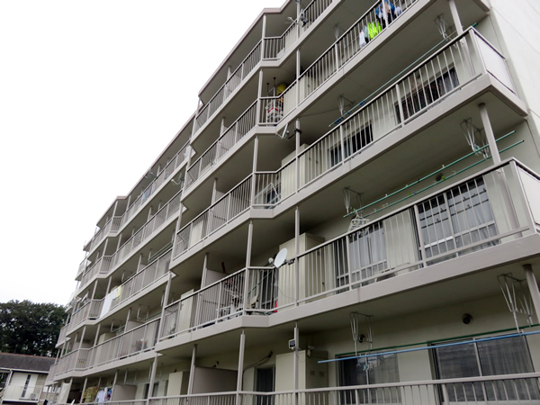 東向地団地１号棟の外観