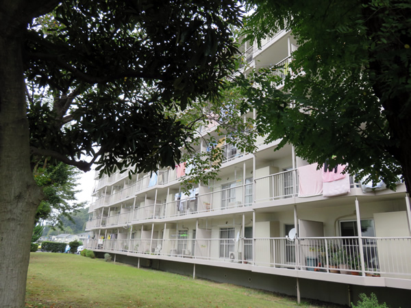 東向地団地の外観