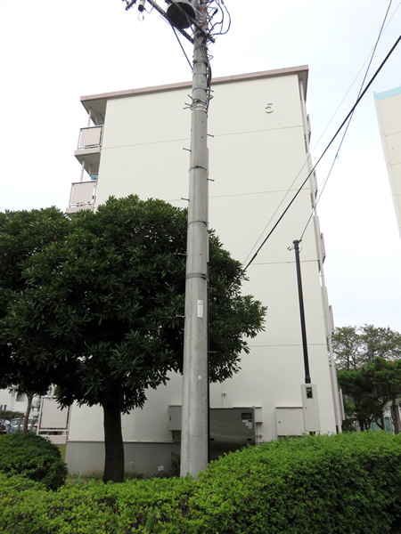 東向地団地の外観