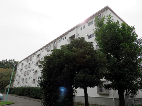 東向地団地６号棟の外観