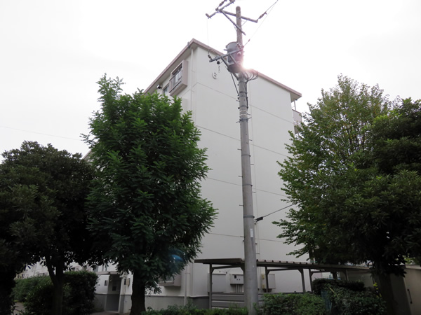 東向地団地６号棟の外観